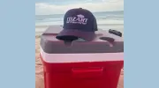 Cozart Lumber
