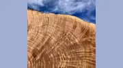 Northwest Timber