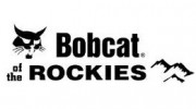 Bobcat Of The Rockies