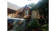 Professional Woodcare