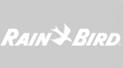 Rain Bird