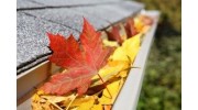 Leaf Protection